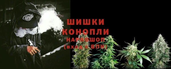 стаф Тобольск