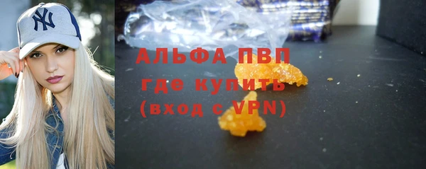 стаф Тобольск
