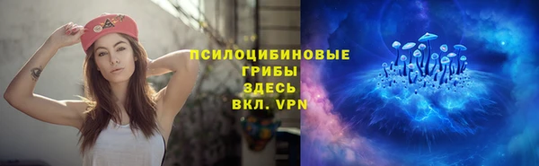 стаф Тобольск