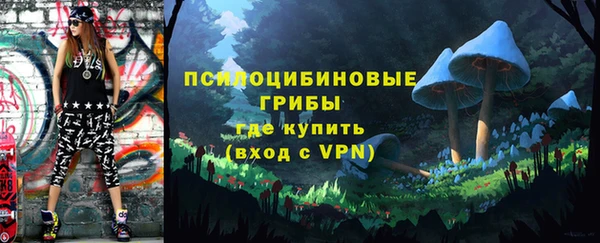 стаф Тобольск