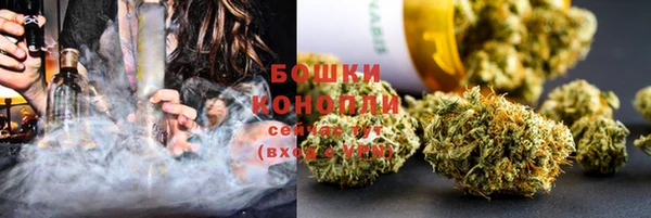стаф Тобольск