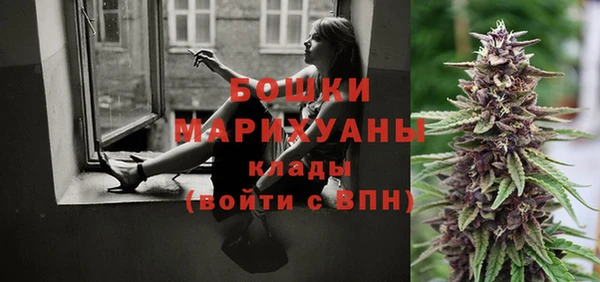 стаф Тобольск