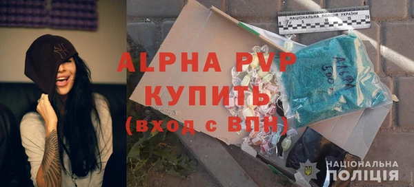 стаф Тобольск