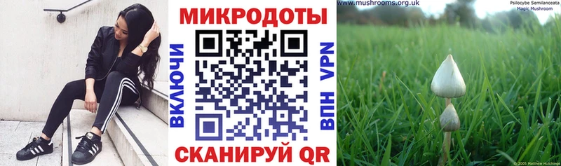 Галлюциногенные грибы MAGIC MUSHROOMS  Малаховка 